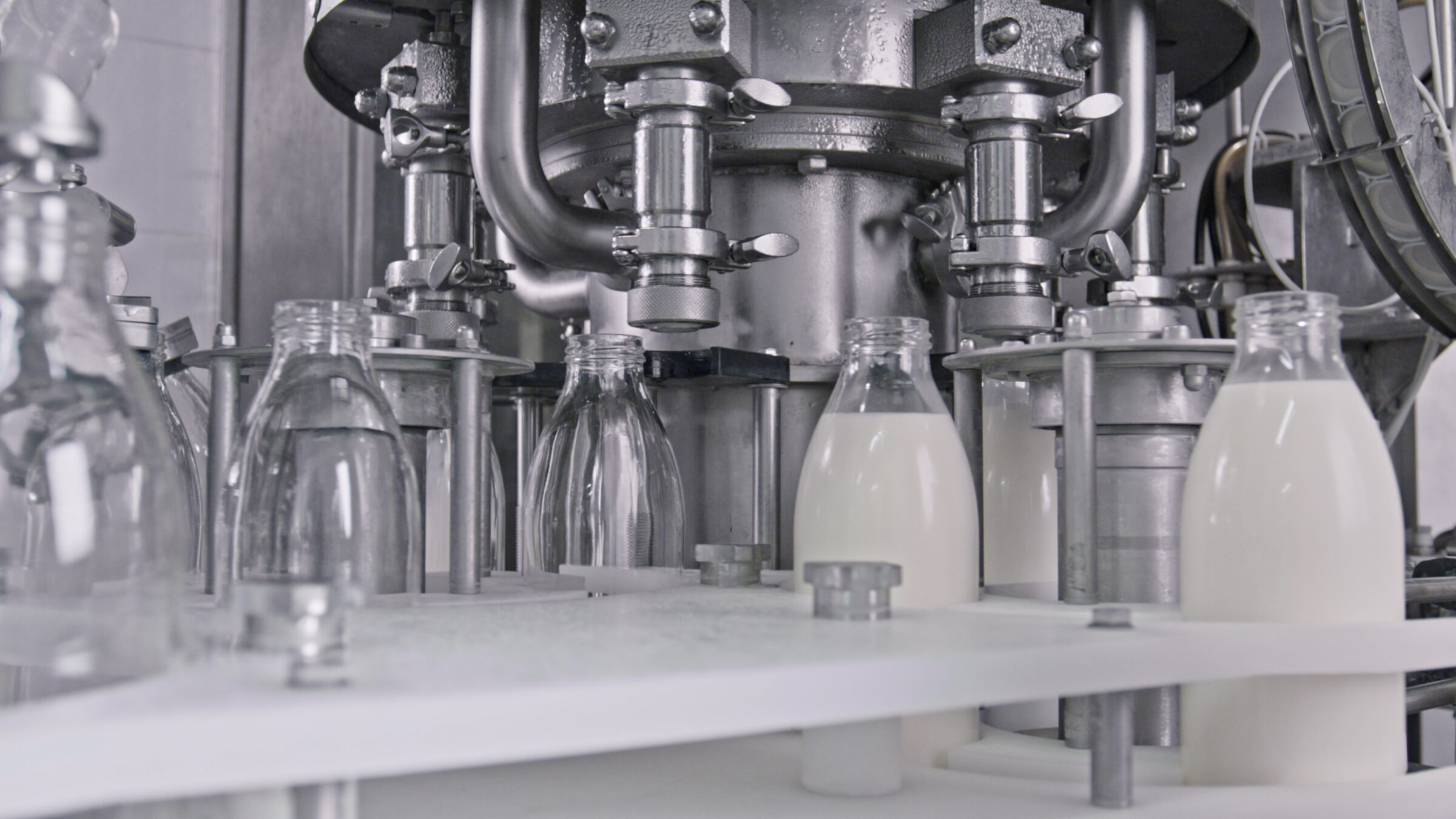Milchindustrie scaled Milchindustrie scaled